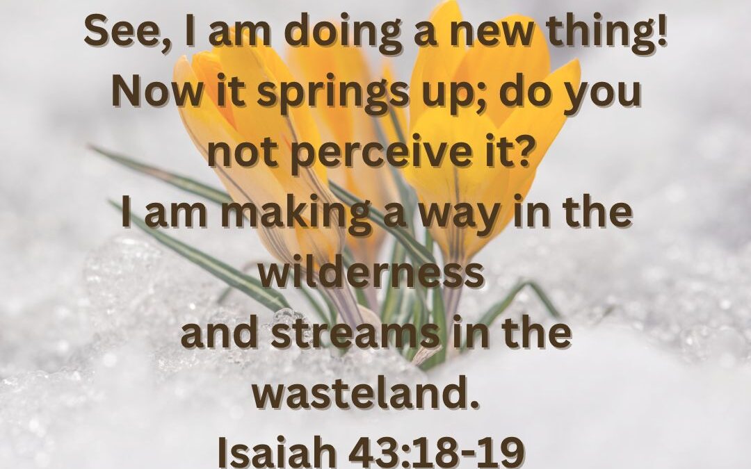 Verse for the year
